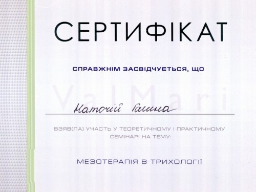 gallery_photo